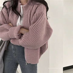 Zipper Solid Knitted Loose Sweater