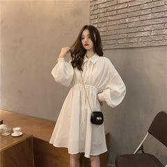 Loose Turn Down Collar Lantern Sleeve Dress