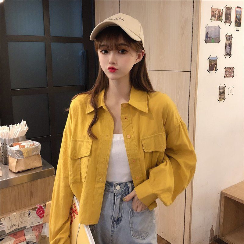 Long Sleeve Turn Down Collar Cropped Shirts