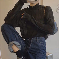 Long Sleeve High Neck Transparent Blouse Shirt