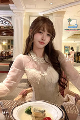 Long Sleeve Vintage Elegant Mesh Transparent Lace Cropped Blouse Shirt